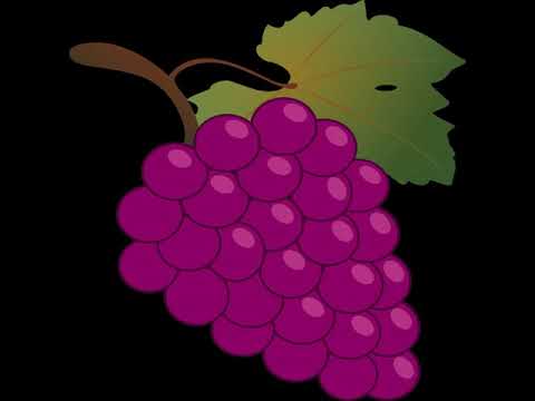 List of grape varieties | Wikipedia audio article