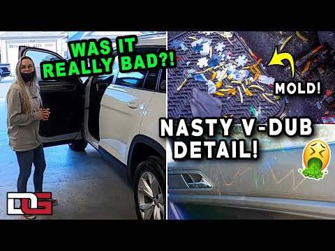 Deep Cleaning a NASTY & MOLDY SUV! | Insane Car Cleaning Transformation! | The Detail Geek