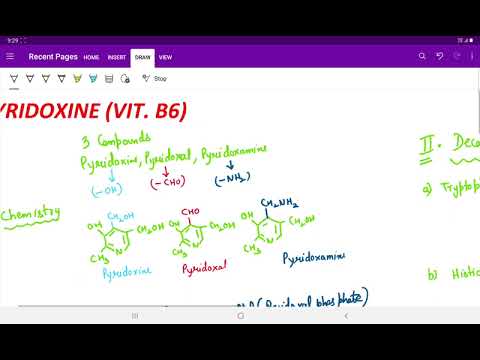 PYRIDOXINE (VITAMIN B6)