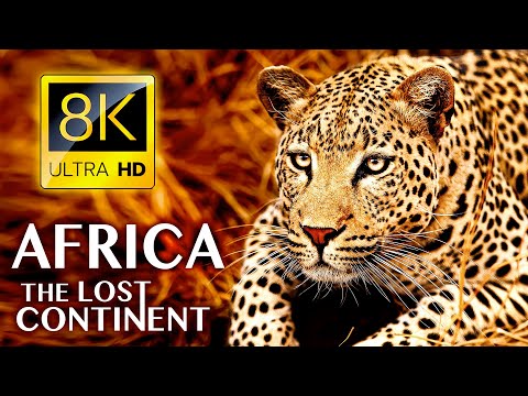 AFRICA The Lost Continent in 8K ULTRA HD