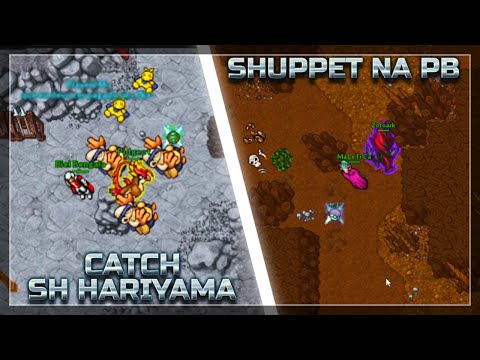 CATCH SHINY HARIYAMA & CATCH SHUPPET NA PREMIER BALL || PXG CLIPS #138