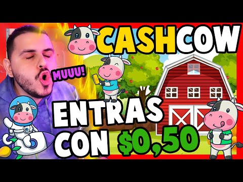 OPORTUNIDAD!💎 CASH COW PROTOCOL 🐮🥛 EN MENOS DE 24 HS COMIENZA EL STAKING ⌛