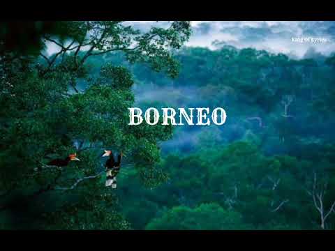 (Relaxing Sleep Music) PIKIRAN Melayang layang mendengar Instrumen musik SAPE KALIMANTAN BORNEO