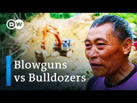 The last nomads of Borneo | DW Documentary