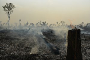 File - Amazon rainforest fire in Brazil's indigenous territory in 2017. Many indigenous people are being affected by the deforestation in the Amazon and when there is deforestation and purposeful fires, it endangers their lives.