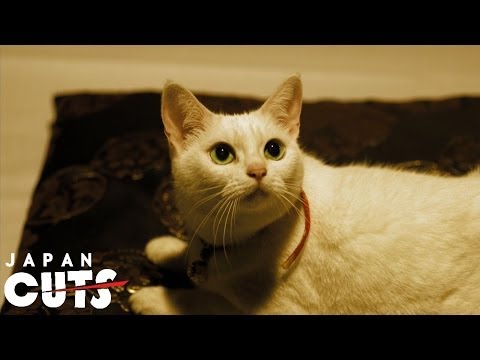 "Neko Samurai ～Samurai ♥ Cat～" trailer (English subtitles) JAPAN CUTS 2014