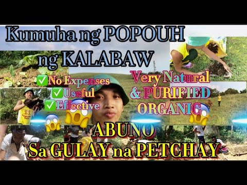 PURIFIED ORGANIC  FERTILIZER: DUMI ng KALABAW |Rudy Men Taray