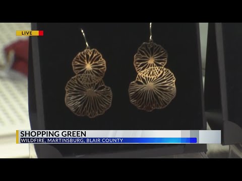 Martinsburg Shop Offering 'Green' Items