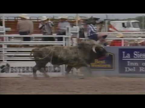 The Jam bucks Wayde Joyal - 95 PBR Del Rio