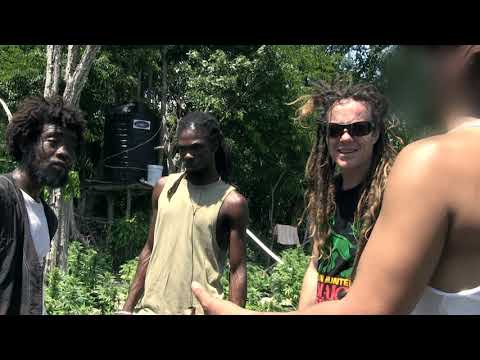 Strain Hunters Jamaica Expedition