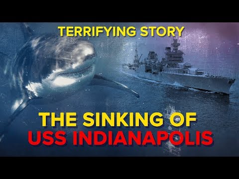 The Sinking of USS Indianapolis - What Happened to the Men on Board?