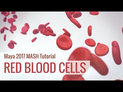 Animate Red Blood Cell Flow using Maya 2017/2018 MASH Motion Graphics: Medical Animation Tutorial