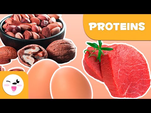 What are proteins? - Healthy Eating for Kids