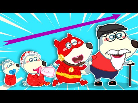 Baby Wolf and Stories for Kids About Fun Competition With Pando | Wolfoo Channel