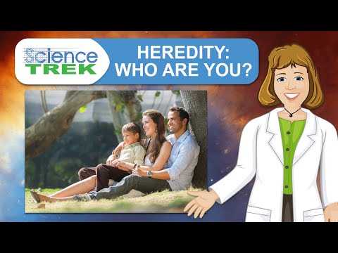 Heredity: Who Are You? | Science Trek