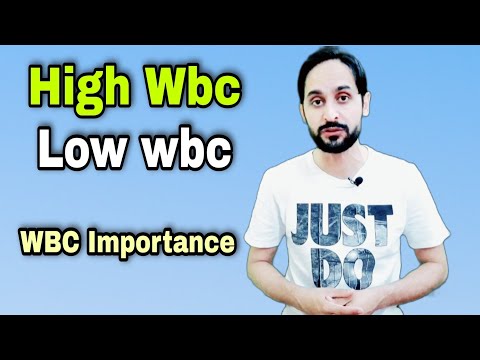 WBC count and its importance | High WBC and Low WBC Causes