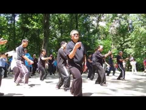 Chen Man-Ching Tai Chi Form Demonstrated by Julia Chu and Students朱殿蓉老师及学生们表演「郑子太极拳」