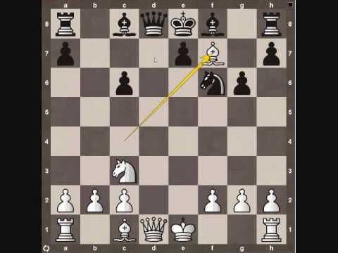 Chess Tactics: Decoy