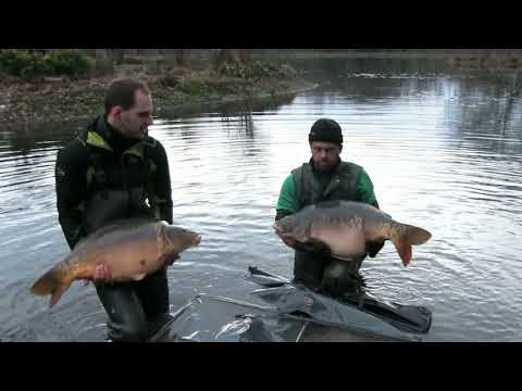 Trident Lakes Carp & Cat Stocks