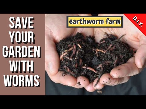 ☑️ Earthworm farm (no cost) 🧺 Φάρμα σκουληκιών χωρίς κόστος 💶