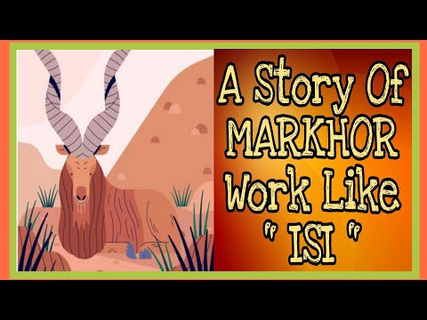 A Story Of " MARKHOR " Work Like " ISI " | Secret Factors |