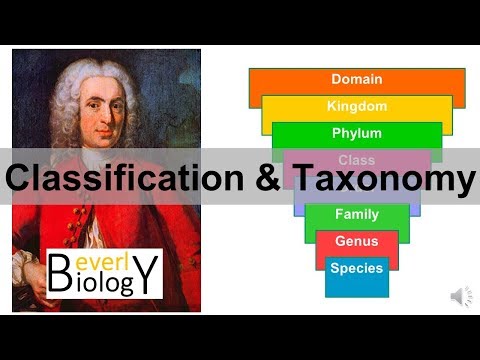 Classification and Taxonomy