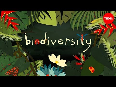 Why is biodiversity so important? - Kim Preshoff