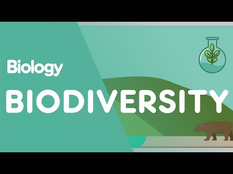 What Is Biodiversity? | Ecology & Environment | Biology | FuseSchool