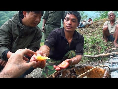 Hallucinogen Honey Hunters - Hunting Mad Honey - Full Documentary