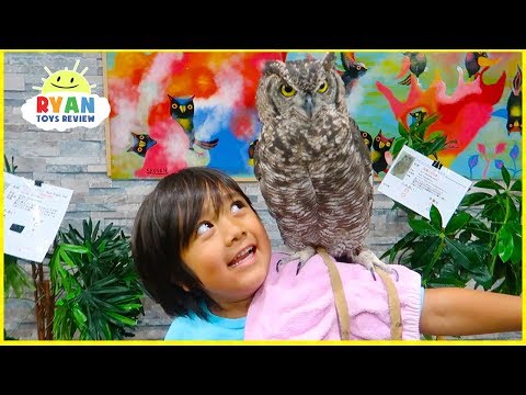 Surprise Ryan with Pet Owl!!!