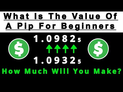 Forex: How To Calculate The Value Of A Pip (Beginners Must Learn This First)