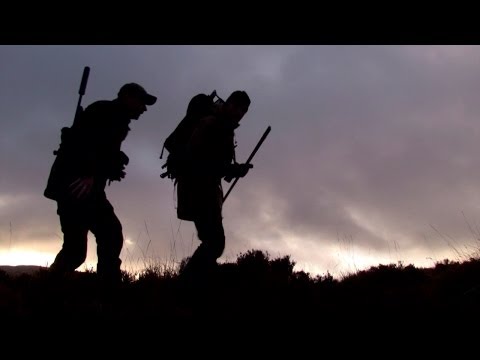 The Shooting Show -- Irish sika stag double and rabbits from field to plate