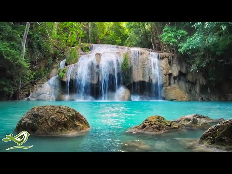 Beautiful Piano Music 24/7 • Relaxing Music for Sleep, Studying & Relaxation