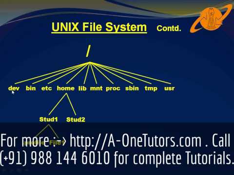 Unix File Systems