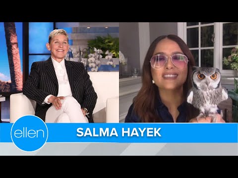 Salma Hayek's Pet Owl Coughed Up a Hairball on Harry Styles