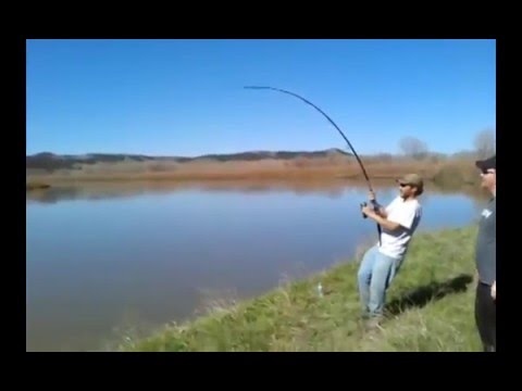 Fishing Reel Breaks