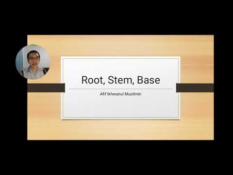 Morphology: Root, Stem, Base