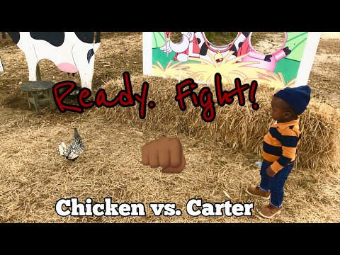 Vlog #17 | Carter is Chasing Chickens!! |