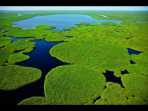 The Sudd Wetlands In South Sudan