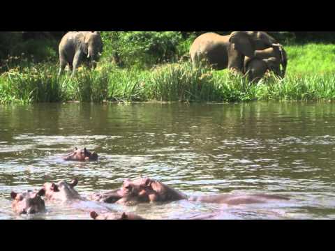 South Sudan Travel Guide: Visit the River Nile & Explore Boma National Park