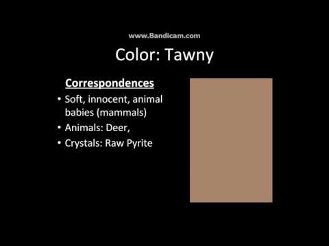 Color Series: Tawny