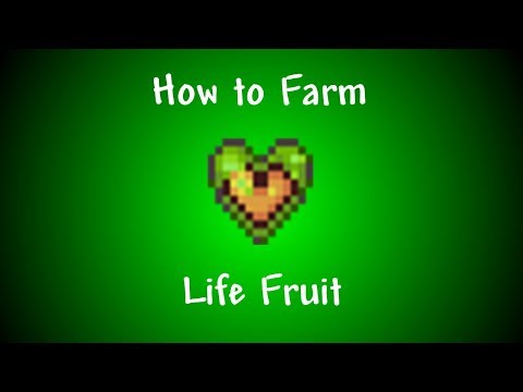 Terraria: How to farm life fruit! Easy Way to get life fruit!