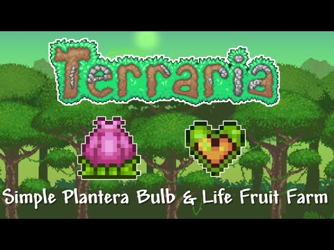 Terraria 1.4 | How to Make a Simple Life Fruit & Plantera Bulb Farm!