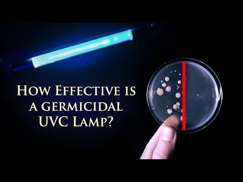 UVC Light or Ozone as a Disinfectant?