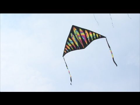 How to Fly a Kite