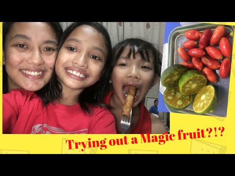 Magic Fruit Vlog