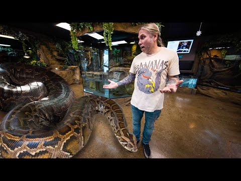 WORLDS LARGEST SNAKES!! | BRIAN BARCZYK