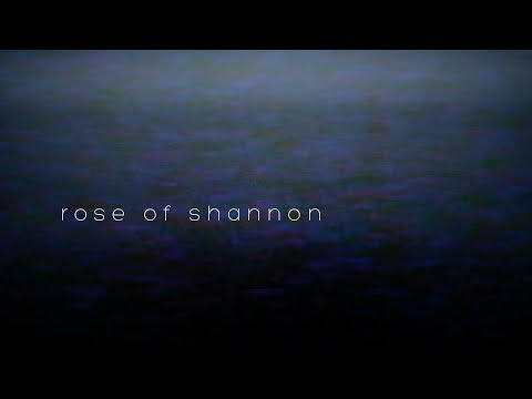 Nathan King - Rose of Shannon