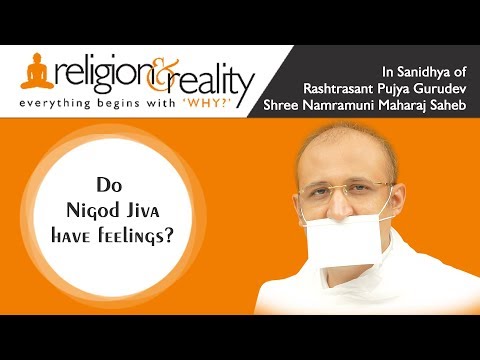 Do Nigod Jiva Have Feelings | Religion & Reality | Jain Religion | Jainism | Jain Philosophy