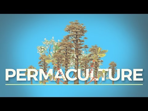 What is Permaculture? (And Why Should I Care?)